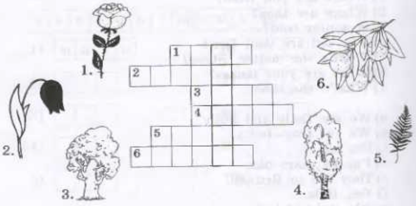 Впиши в кроссворд. Кроссворд впиши по горизонтали. Реши кроссворд 3 класс рабочая тетрадь. Впиши в кроссворд английские названия цветов. Нарисовать дерево для кроссвордов.