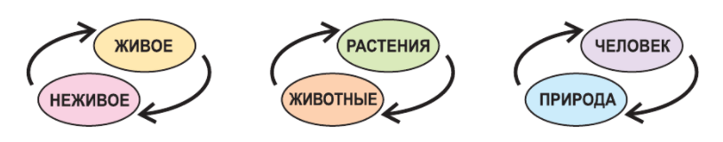 Примеры связей в природе 2 класс окружающий. Схемы природных связей 3 класс. Группы экологических связей. Группы экологических связей 3 класс. Схема групп экологических связей.